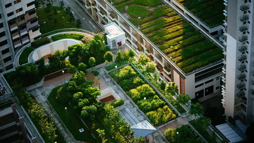 Urban Gardening on tall build roofs