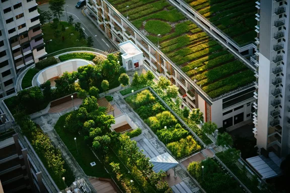 Urban Gardening on tall build roofs