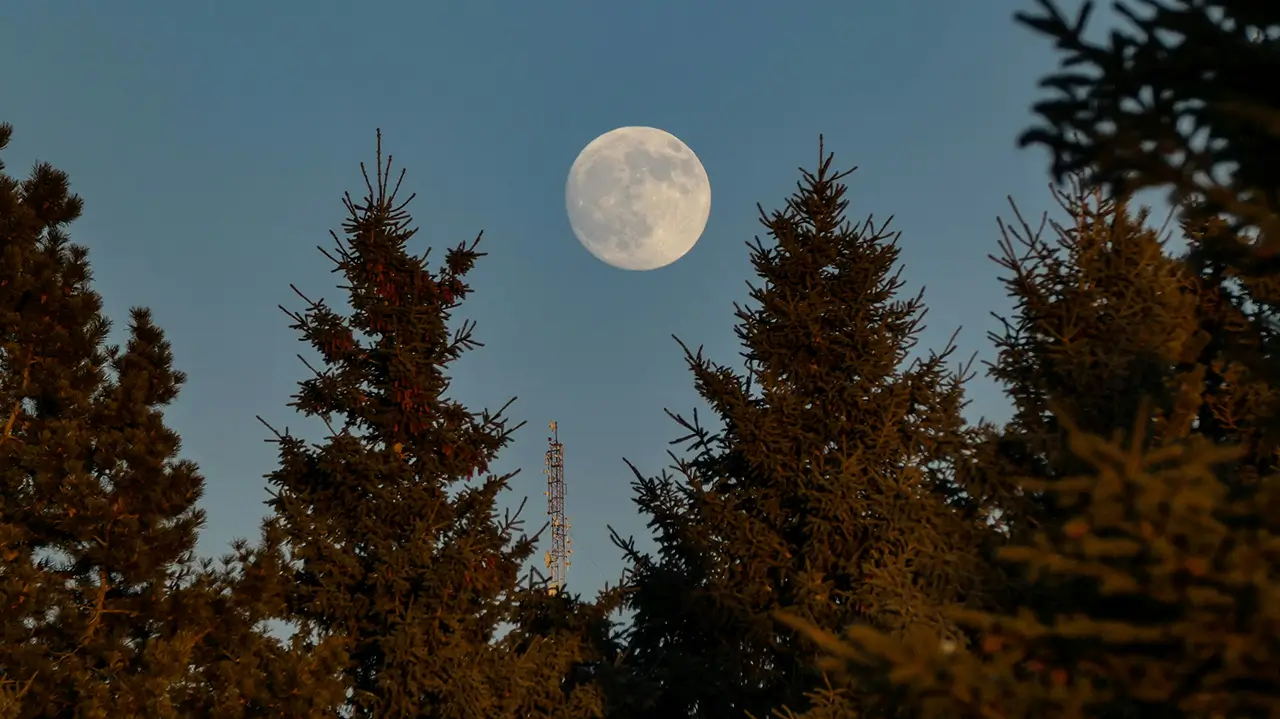 Moon Phases