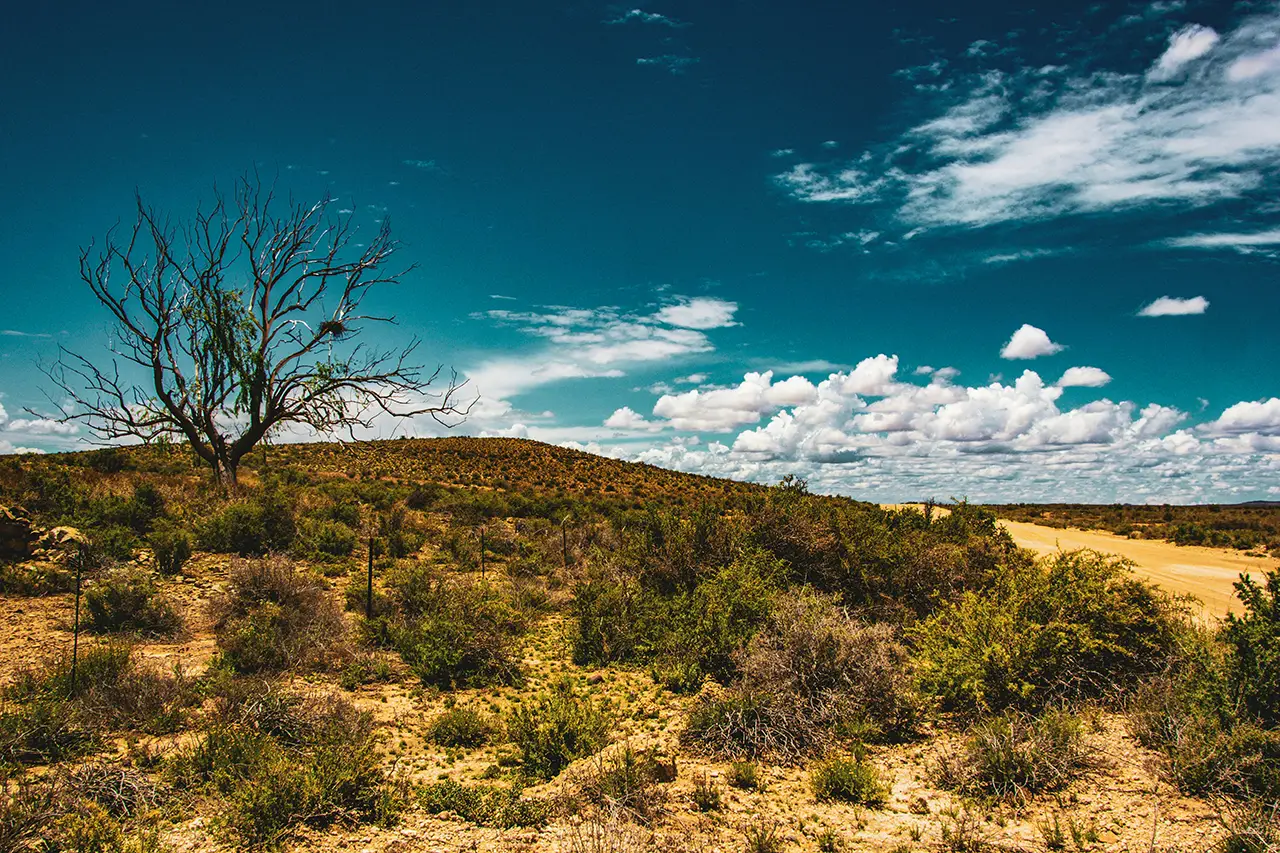 Top 10 Local Destinations Every South African Should Visit - The Karoo